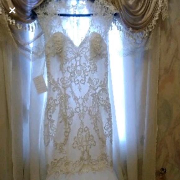 Wedding Dress - Picture 4 of 8